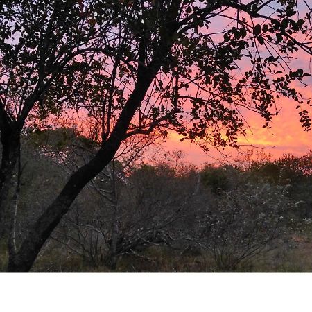 Villa Lion King Marloth Park Exterior foto