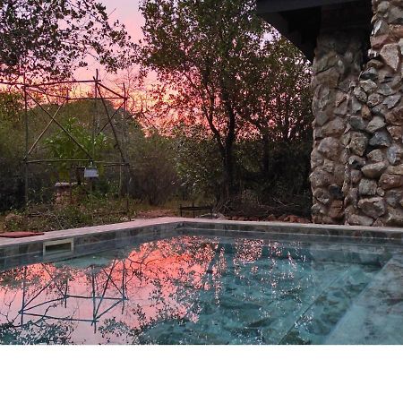 Villa Lion King Marloth Park Exterior foto