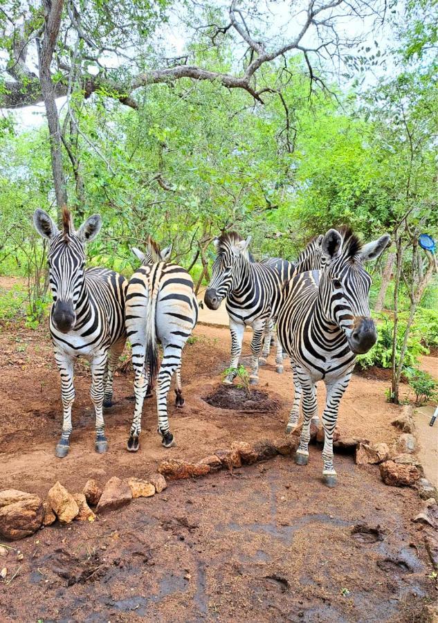 Villa Lion King Marloth Park Exterior foto